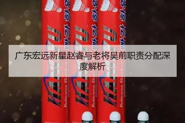 广东宏远新星赵睿与老将吴前职责分配深度解析