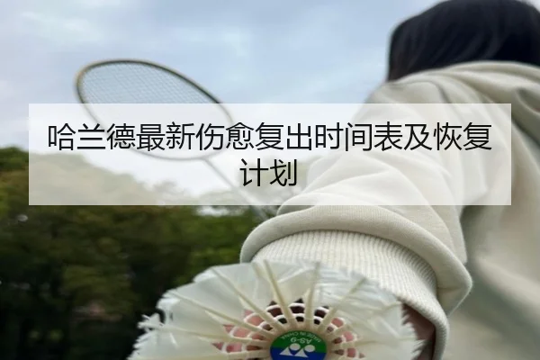 哈兰德最新伤愈复出时间表及恢复计划 - pg